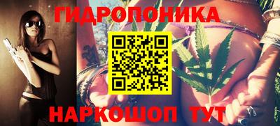 соль ск Пугачёв
