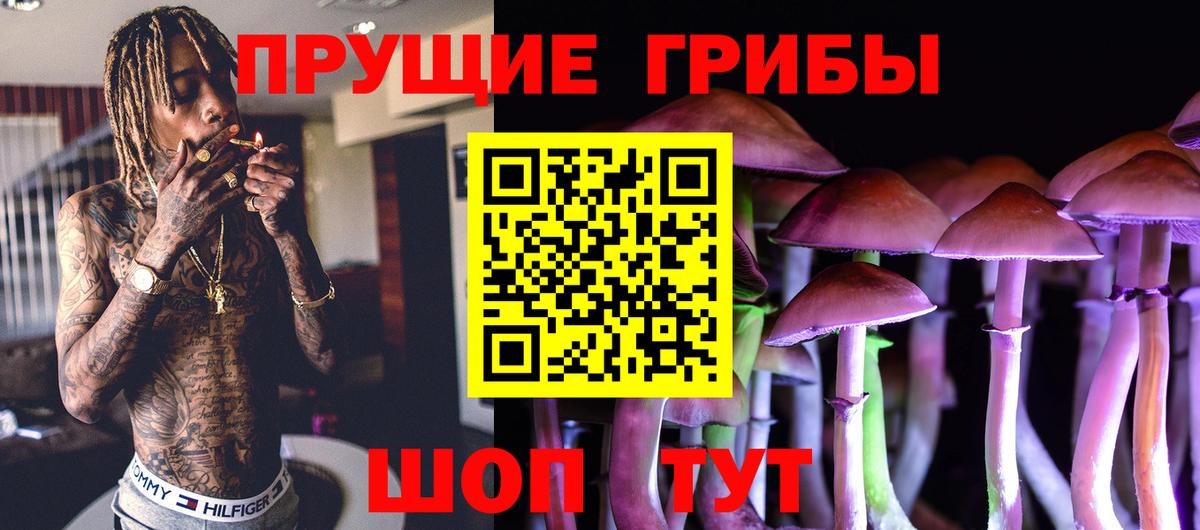 Ивантеевка  закладки  Вход с VPN  Псилоцибиновые грибы Psilocybine cubensis 